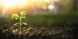 Sustainability