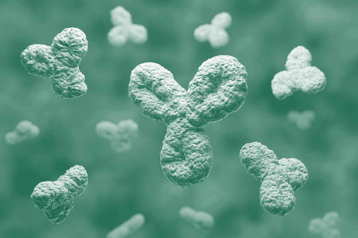 antibody-manufacturing